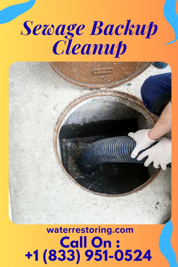 Sewage Backup Cleanup in Calumet, OK