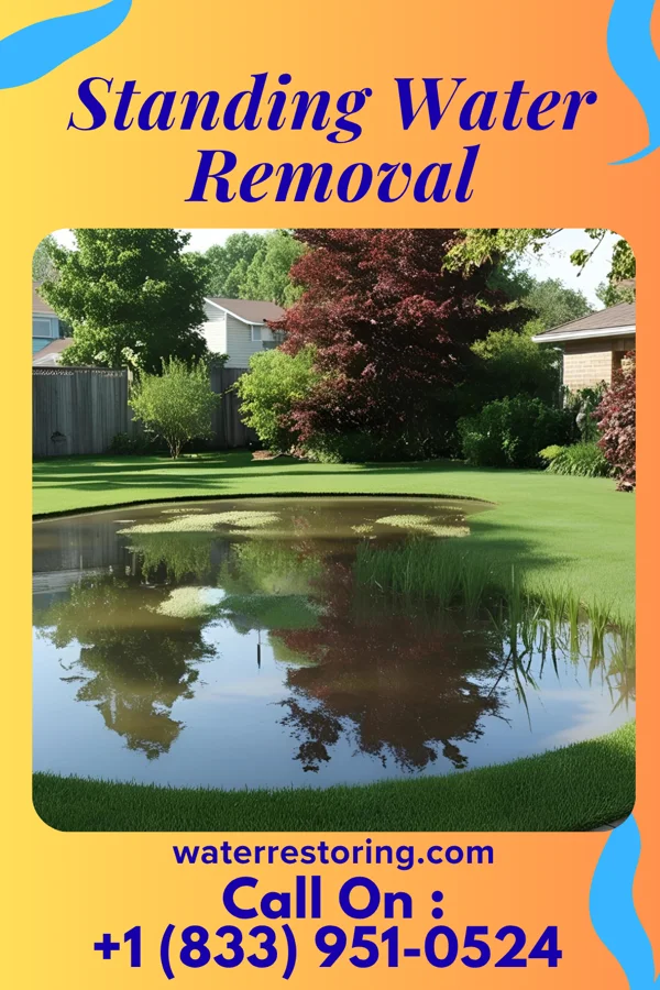 Standing Water Removal in Calumet, OK